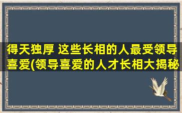 得天独厚 这些长相的人最受领导喜爱(领导喜爱的人才长相大揭秘：得天独厚的优势背后！)